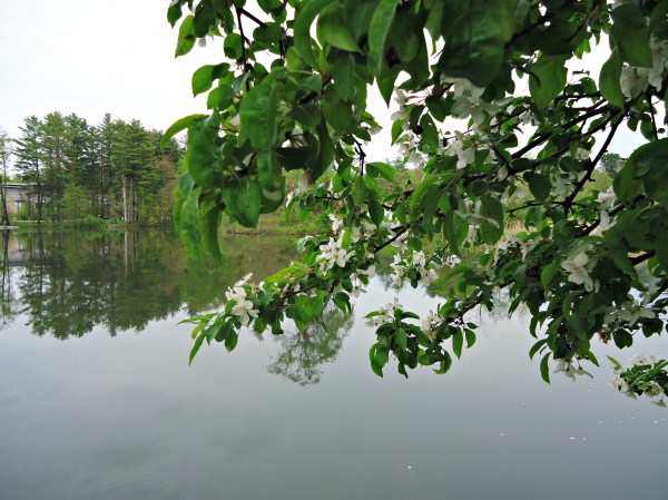 ClaudiaRojas_photographysample2