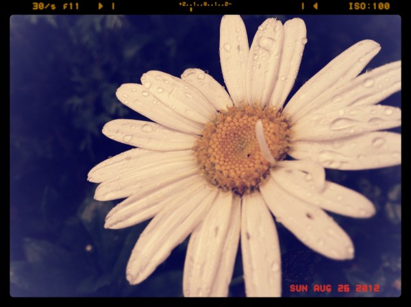 My absolute favorite shot from last year