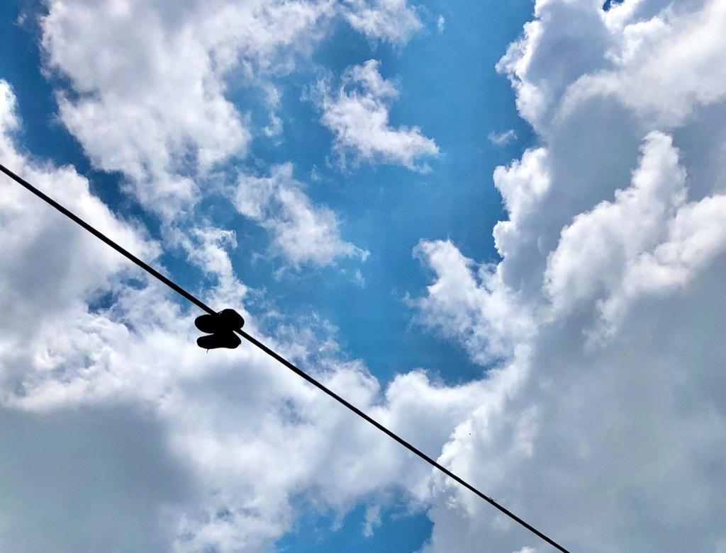 Immigrant Community Action&nbsp;Guide